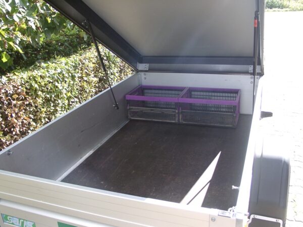 Saris 75V - Afbeelding 4